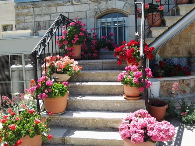 Rosary Sister Guest House Ein Karem Иерусалим Экстерьер фото